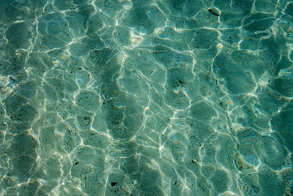 20140823_cat_cay_0556