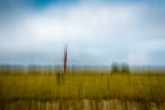 20150417_lake_Istokpoga_0134