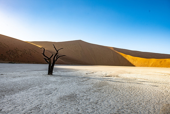 20220419_namibia-6502.jpg