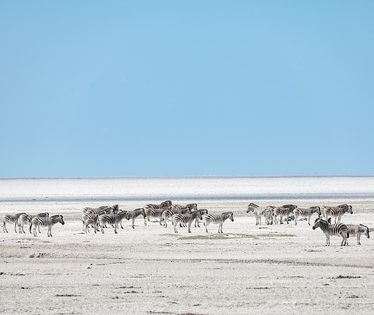 20220419_namibia-19513.jpg