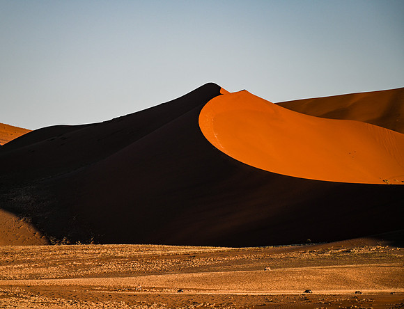 20220419_namibia-4390.jpg