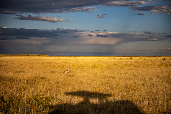20220419_namibia-17320.jpg