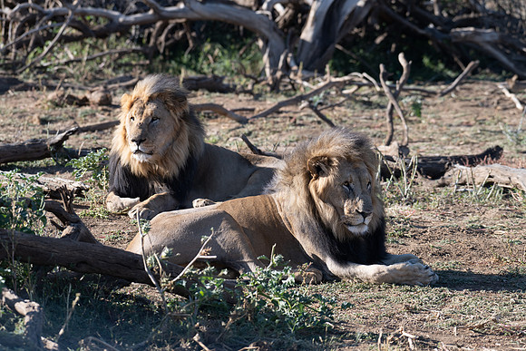 20220419_namibia-7783.jpg