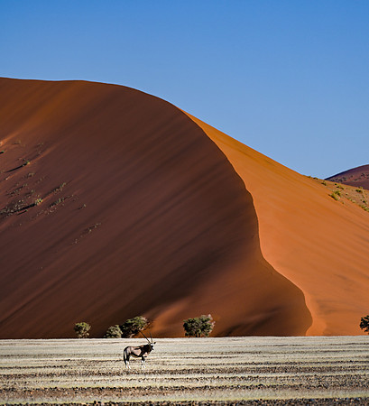 20220419_namibia-7158.jpg