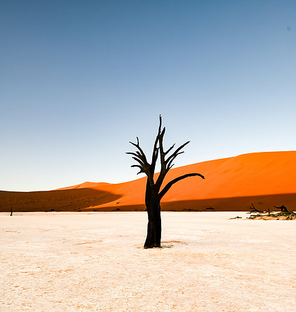 20220419_namibia-3094.jpg