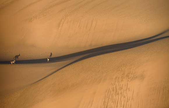 20220419_namibia-1391.jpg