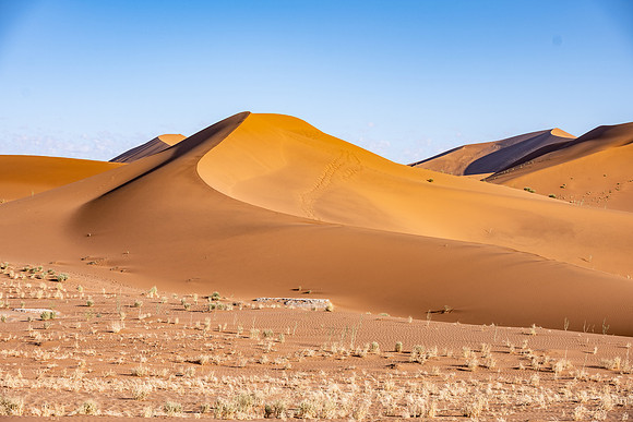 20220419_namibia-9263.jpg