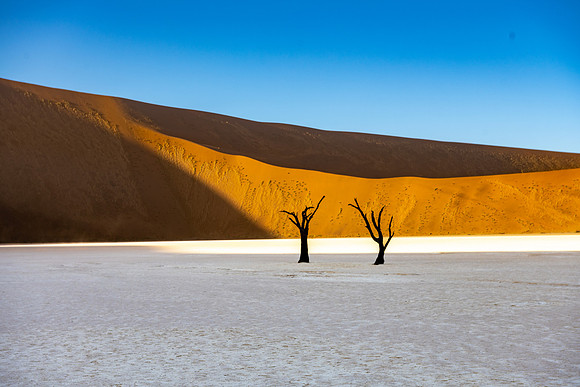20220419_namibia-6583.jpg