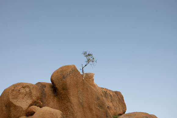 20220419_namibia-11329.jpg