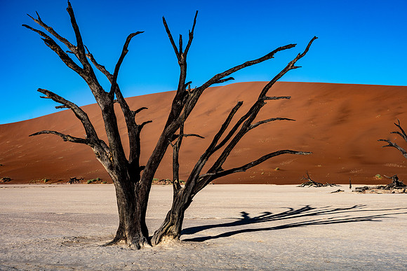 20220419_namibia-6215.jpg