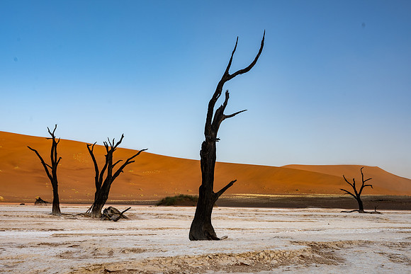 20220419_namibia-6264.jpg