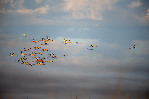 20220419_namibia-13306-Edit.jpg
