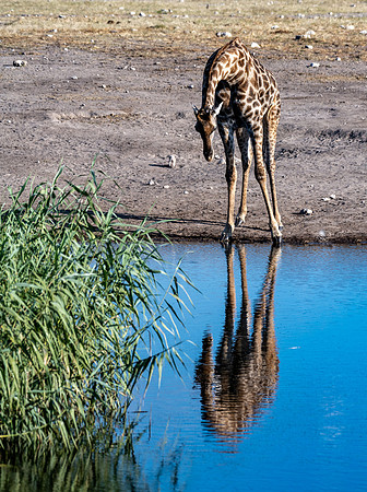 20220419_namibia-20169.jpg