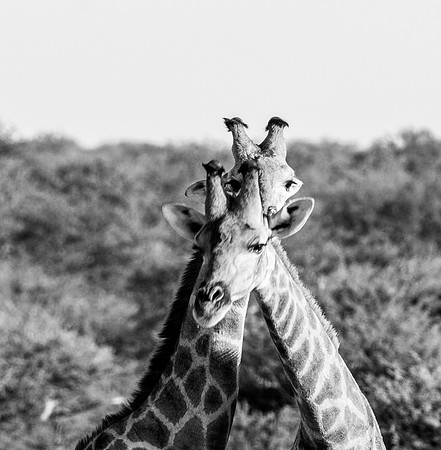 20220419_namibia-20845-2.jpg