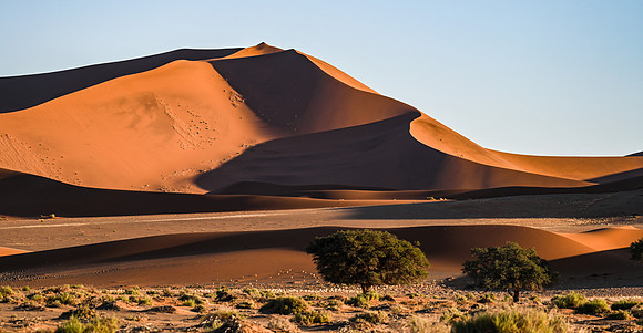 20220419_namibia-7307.jpg