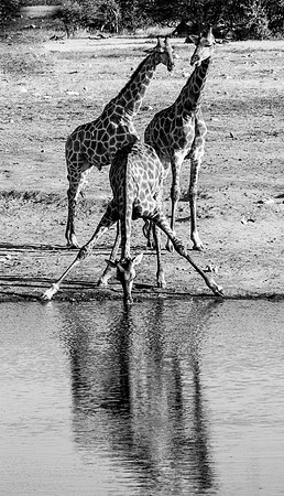 20220419_namibia-21363-2.jpg