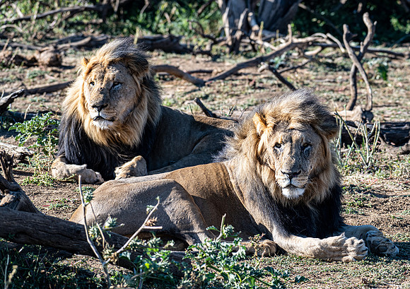 20220419_namibia-7771.jpg