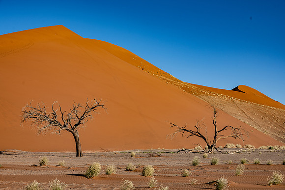 20220419_namibia-6997.jpg
