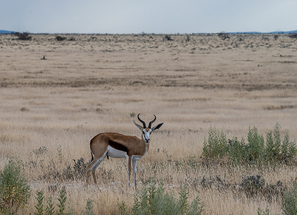 20220419_namibia-16091.jpg