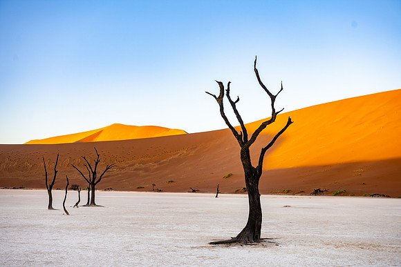 20220419_namibia-6863.jpg