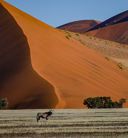 20220419_namibia-7169.jpg