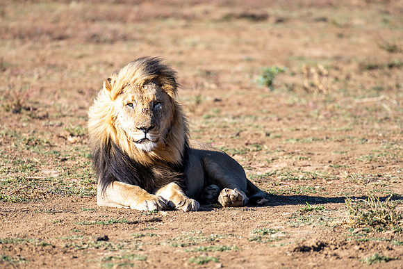 20220419_namibia-8179.jpg