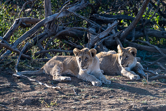 20220419_namibia-7993.jpg