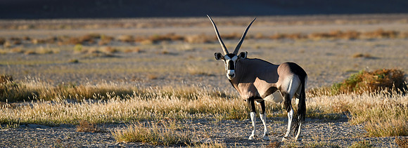 20220419_namibia-7388.jpg