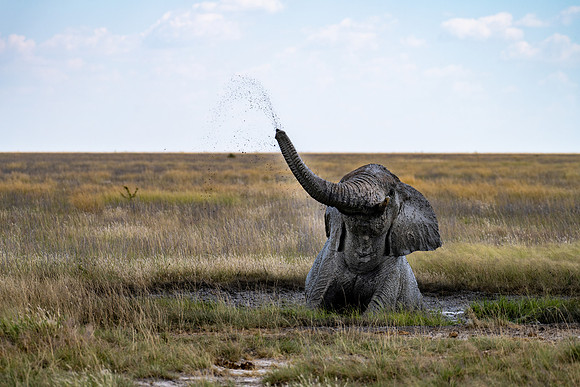 20220419_namibia-20462.jpg