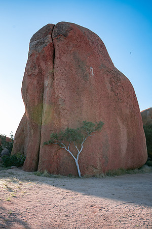 20220419_namibia-14792.jpg