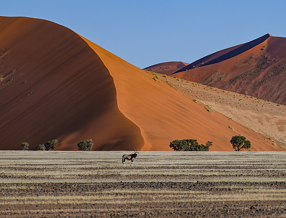 20220419_namibia-7162.jpg