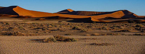 20220419_namibia-7036.jpg