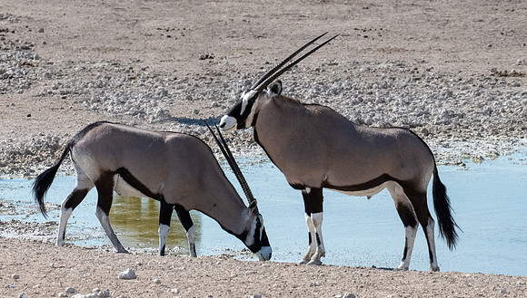 20220419_namibia-18391-Edit.jpg