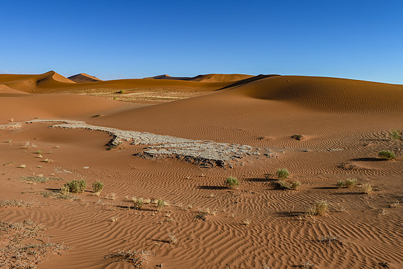 20220419_namibia-4499.jpg