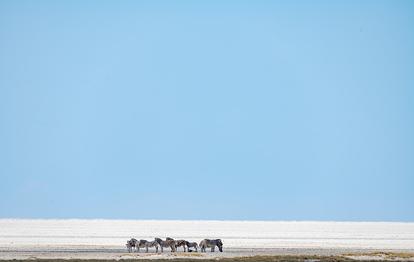 20220419_namibia-18257.jpg