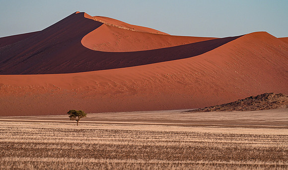 20220419_namibia-7611.jpg