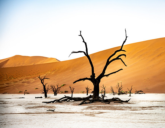 20220419_namibia-5103.jpg