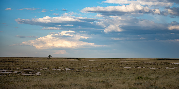 20220419_namibia-17513.jpg