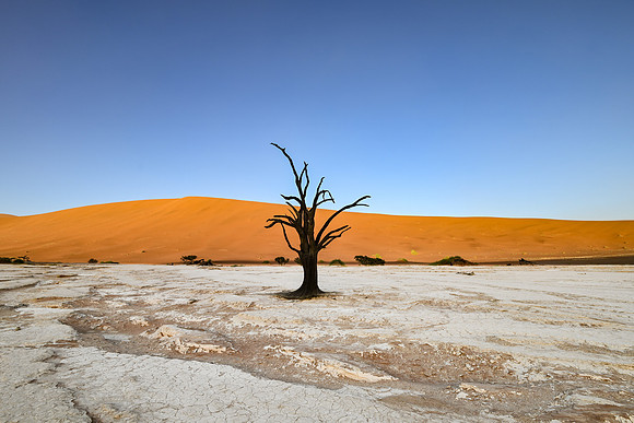 20220419_namibia-3576.jpg