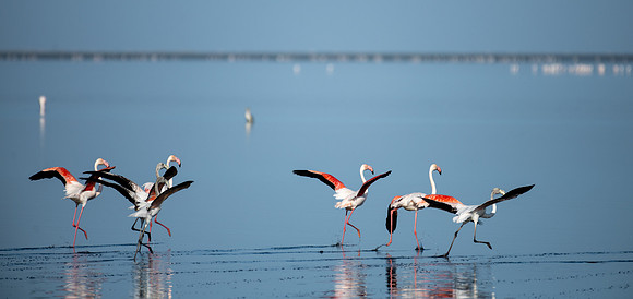 20220419_namibia-11685.jpg