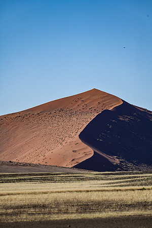 20220419_namibia-3757.jpg