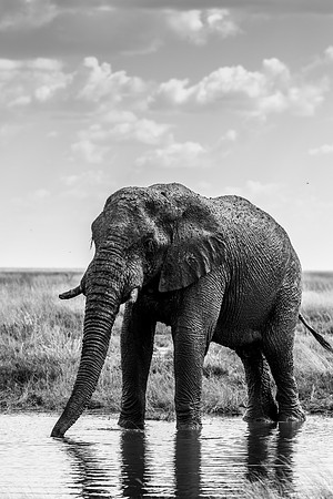 20220419_namibia-22085-2.jpg