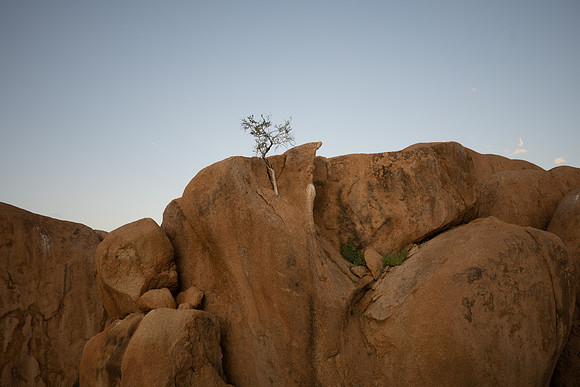 20220419_namibia-11084.jpg