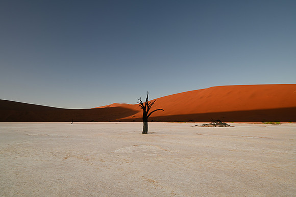 20220419_namibia-3139.jpg
