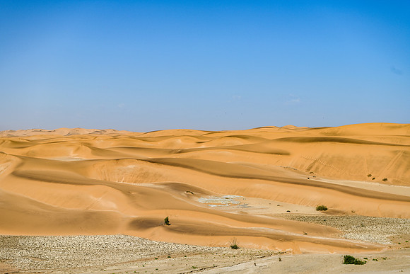 20220419_namibia-5560.jpg