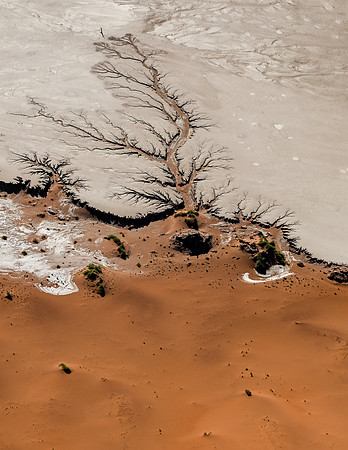 20220419_namibia-4635.jpg