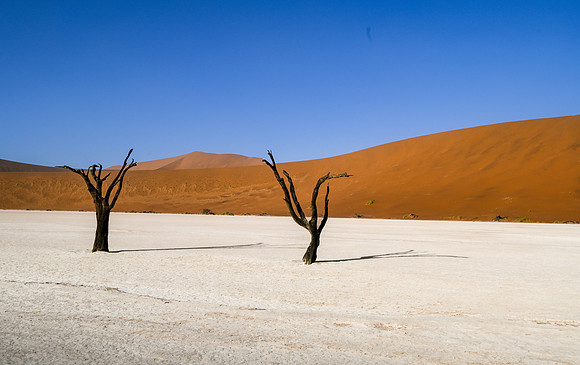 20220419_namibia-2711.jpg
