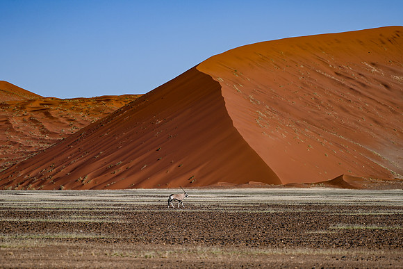 20220419_namibia-7124.jpg