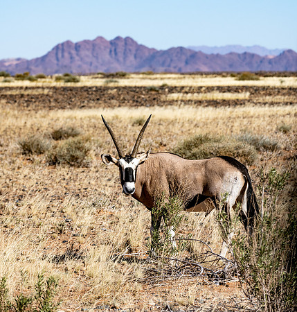 20220419_namibia-6974.jpg