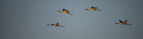 20220419_namibia-11839.jpg